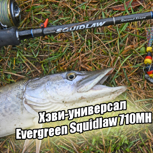 Хэви-универсал Evergreen Squidlaw 710MH.Обзор