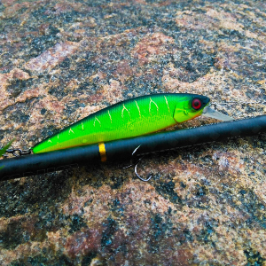 Обзор Jackall Squad Minnow 80SP – образцовый минноу