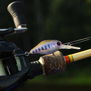 Обзор кренка Strike Pro Cranky Deep 40 F