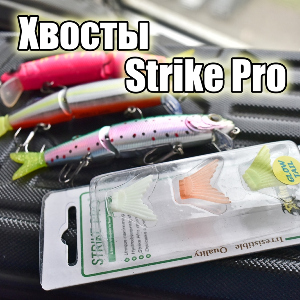 Хвост - всему голова