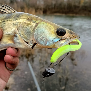 Крепыш Decoy Kg Hook Worm 17! Обзор