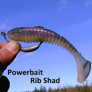 Berkley Powerbait Rib Shad. Американский жирдяй для русской щуки