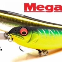 Охотник за жерехом. Megabass Dog-X Jr.Coayu