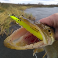 Хороший боец - Slingshot Minnow