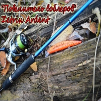 "Повелитель воблеров" - Zetrix Ardent