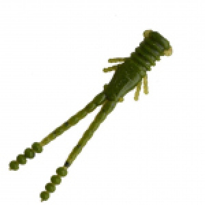 Reflex Shrimp