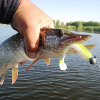 Видеообзор виброхвоста Kosadaka SPIKEY SHAD 90 по заказу Fmagazin
