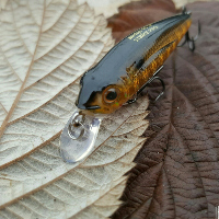 <p >анбоксинг посылки с воблером Strike Pro Midge 40 и силиконом Kosadaka SLY Worm специально по зак