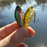 <p>анбоксинг посылки с воблером Strike Pro Mustang Minnow 45 и Yo Zuri L Minnow специально по