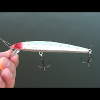 Распаковка и тест воблера LACKY CRAFT Flash Minnow 130MR по заказу Fmagazin