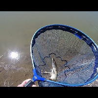 Распаковка и обзор подсака Garbolino Challenger Specimen Rubber по заказу fmagaz