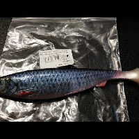 Видеообзор виброхвоста Savage Gear 4D LB Herring Shad по заказу Fmagazin
