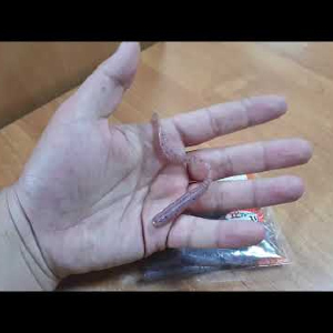 Видео обзор приманки Reins Curly Curly по заказу интернет-магазина fmagazin.ru