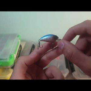 Видеообзор воблера SPRUT RINI CRANK D по заказу c Fmagazin