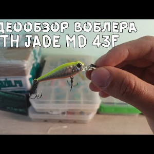 Видеообзор воблера SMITH JADE MD 43F по заказу с Fmagazin