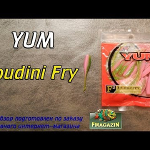 Видеообзор Yum Houdini Fry