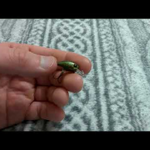 Видеообзор воблера Anglers Republic Bug Minnow 20MR по заказу Fmagazin.