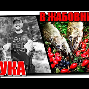 Рыбалка на щуку в жабовнике на утенка Savage Gear 3D Hollow Duckling