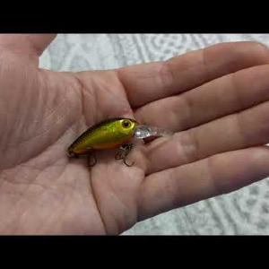 Видеообзор кренка Tsuribito Baby Crank 35 SDR по заказу Fmagazin.