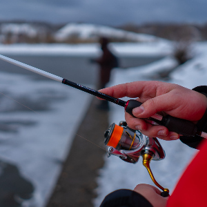 Unboxing безынерционной катушки Daiwa 21 Freams LT по заказу Fmagazin