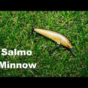Обзор воблера Salmo Minnow по заказу Fmagazin