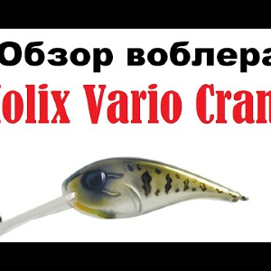 Видеообзор воблера Molix Vario Crank  по заказу интернет-магазина Fmagazin.