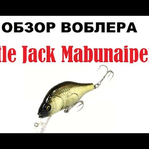 Видеообзор воблера Little Jack Mabunaiper-S   по заказу интернет-магазина Fmagaz