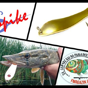 Распаковка посылки из Fmagazin. Блесна Spike Куусамо 1004 (10 г)
