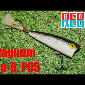 Обзор поппера Rebel Magnum Pop-R, P65 по заказу Fmagazin