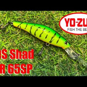 Обзор воблера Yo-Zuri 3DS Shad MR 65SP по заказу Fmagazin