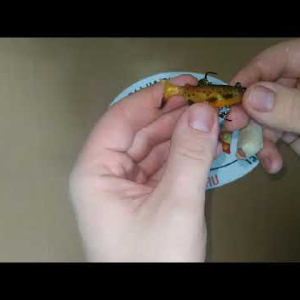 Unboxing Мягкой приманки Storm WildEye Live Trout WLTR02 по заказу Fmagazin