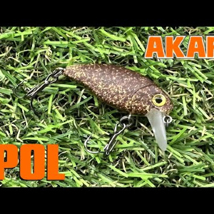 Обзор воблера Akara Pol по заказу Fmagazin