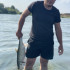 Riverknight