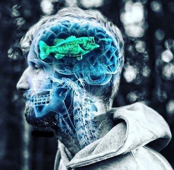 4114