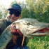 MadFisher