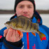Ingvar