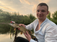 aseev.2014