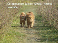 VlaDmi