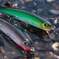 perm.angler